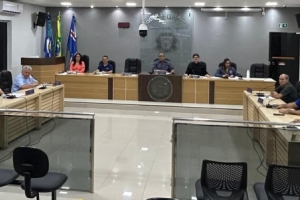 Ferreira Junior/Flvia Arando