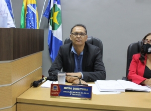 Plenário Félix P. de Almeida Junior | Ferreira Junior
