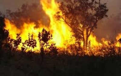 Câmara de Jaciara alerta para período de queimadas urbana e na zona rural 